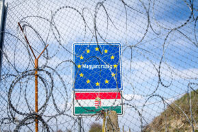The impact of narratives on policymaking at the national level: the case of Hungary